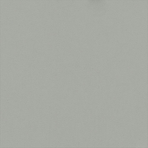 Carnival Birch thumbnail