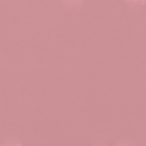 Carnival Pink thumbnail