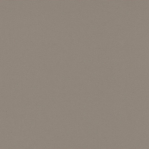 Carnival Taupe thumbnail
