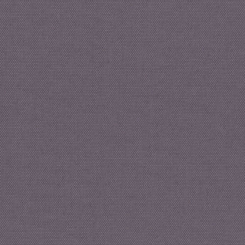 Pop Blockout Iris thumbnail